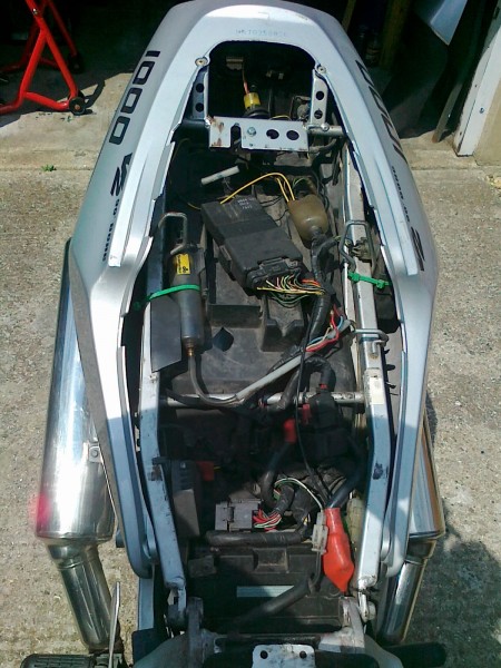 WD tail 1.jpg