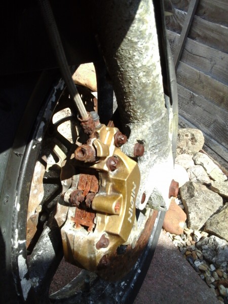 Rusty 5.jpg