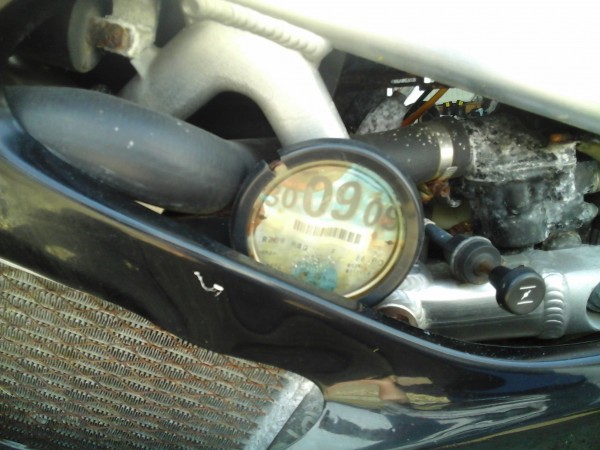 Rusty 8.jpg