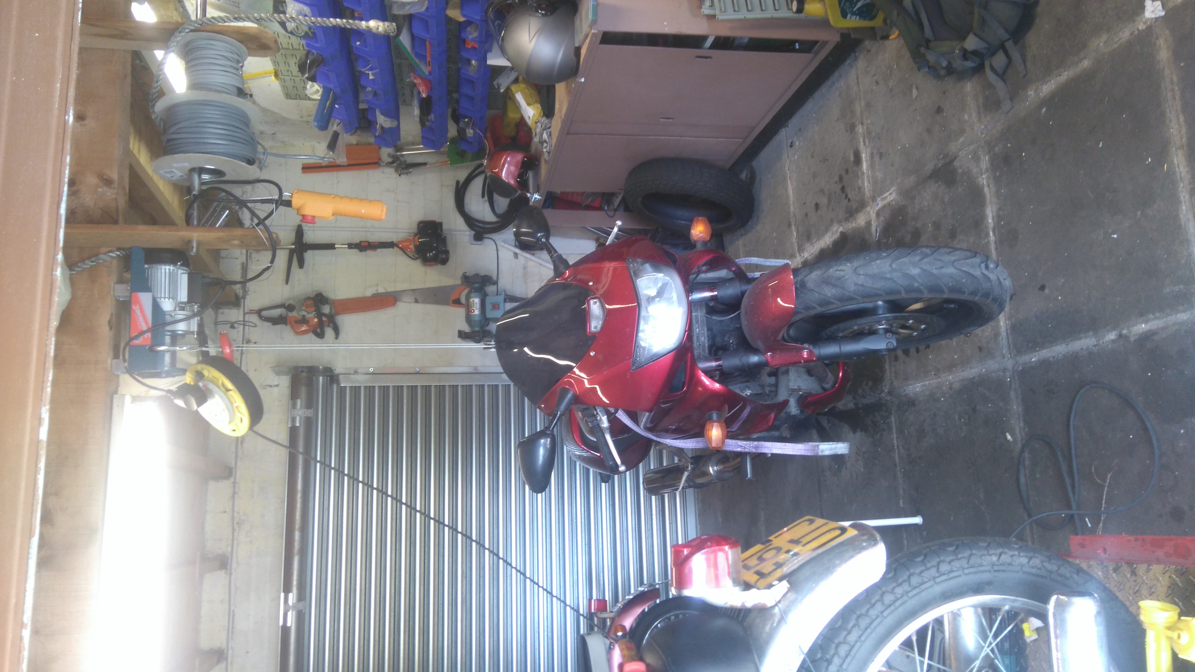 DSC_0979.JPG