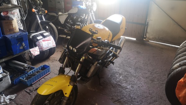 IMG-20230429-WA0003.jpeg
